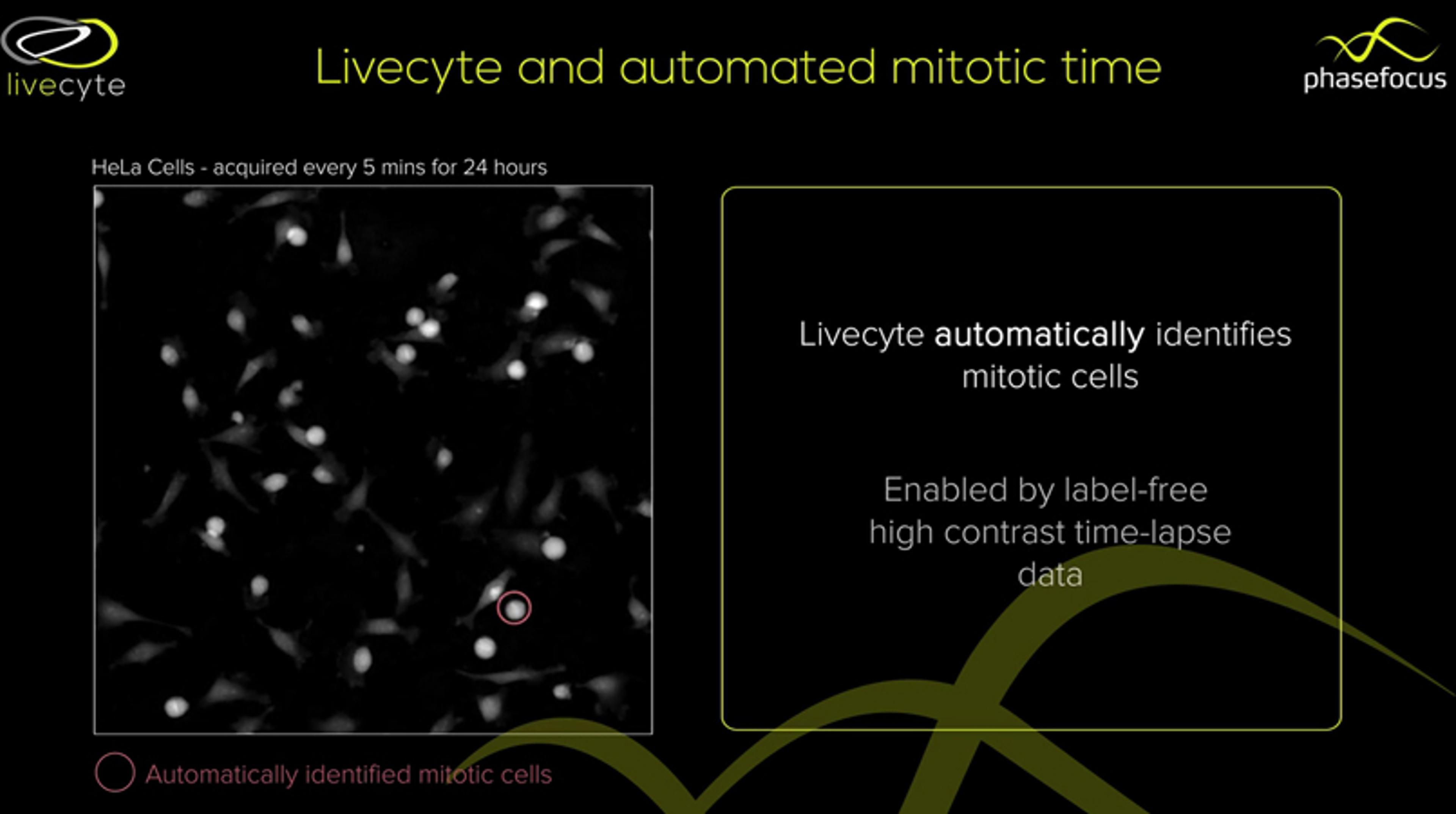 Automated Determination of Mitotic Time Using Livecyte Automated Determination of Mitotic Time Using Livecyte