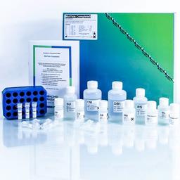 MolYsis™ Complete5 kit