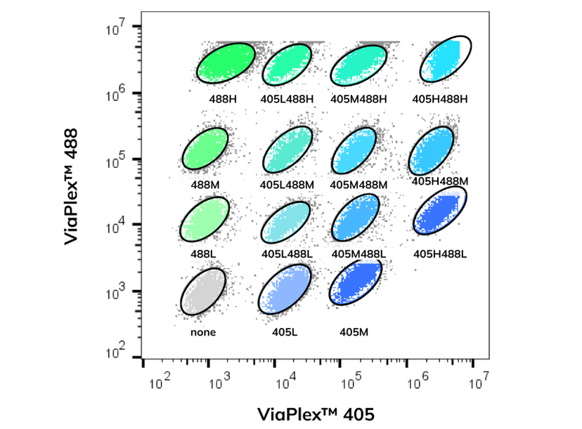 Biotium ViaPlex 2-Color Cell Barcoding Kit (405 & 488)