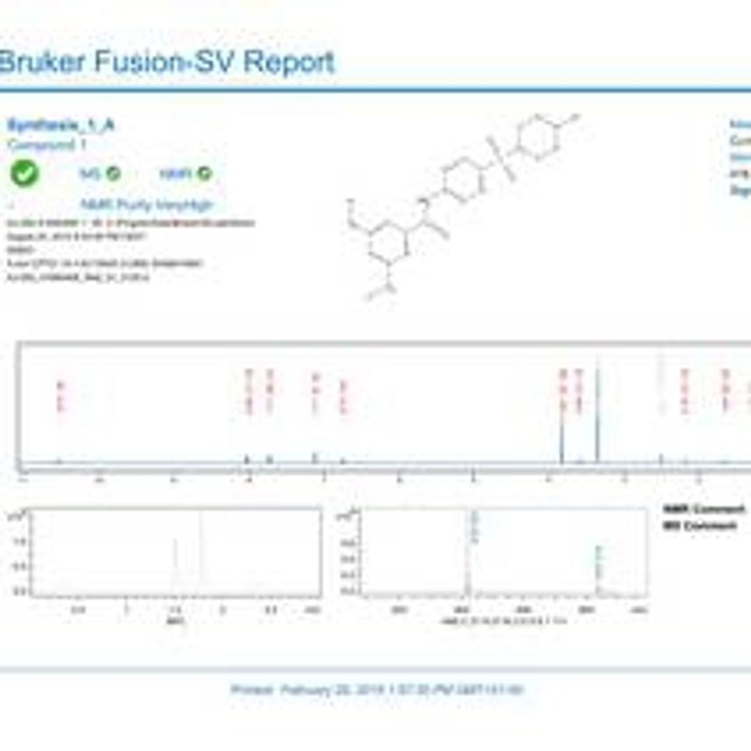 Bruker FUSION-SV: Comprehensive report