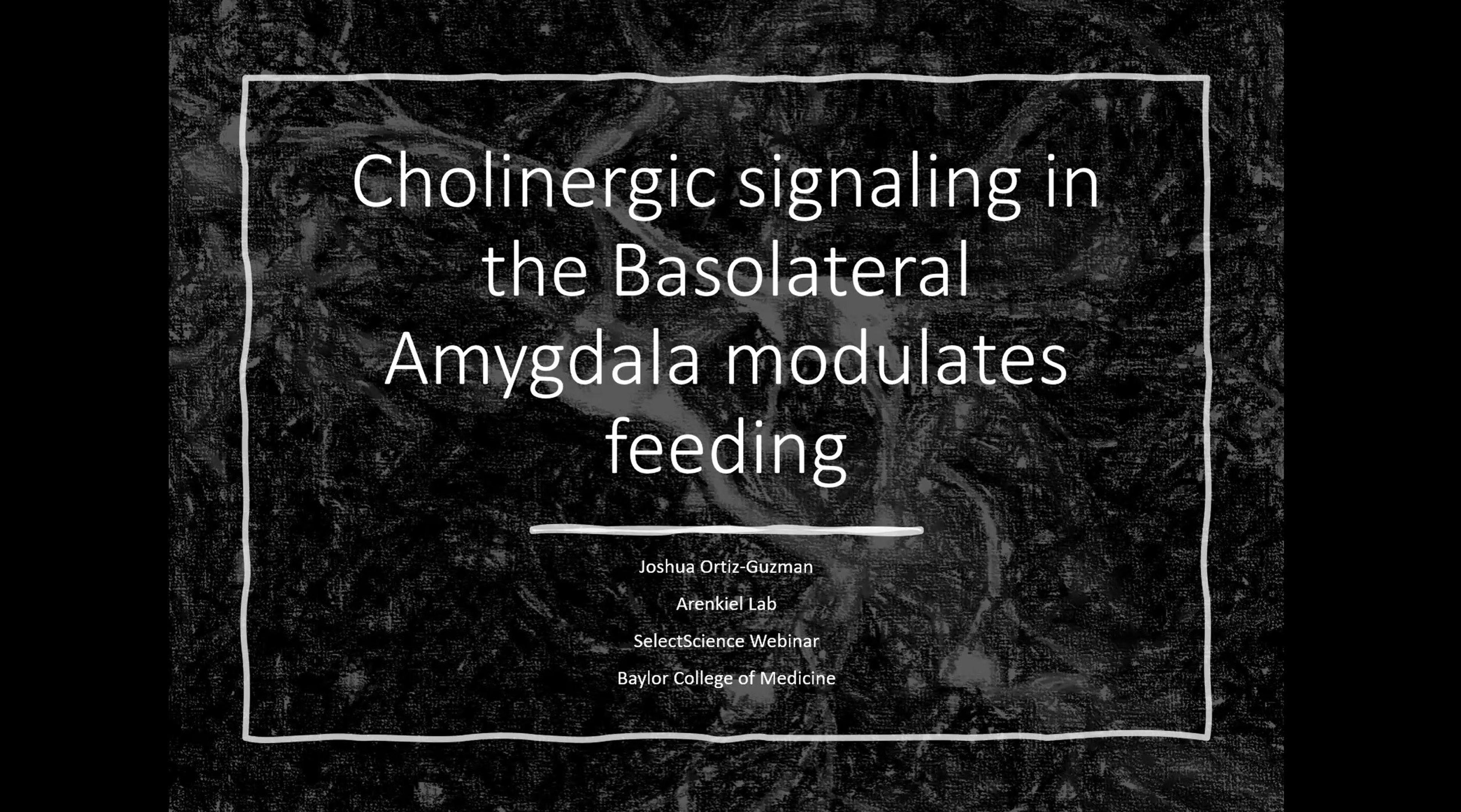 Cholinergic signaling in the basolateral amygdala modulates feeding Cholinergic signaling in the basolateral amygdala modulates feeding