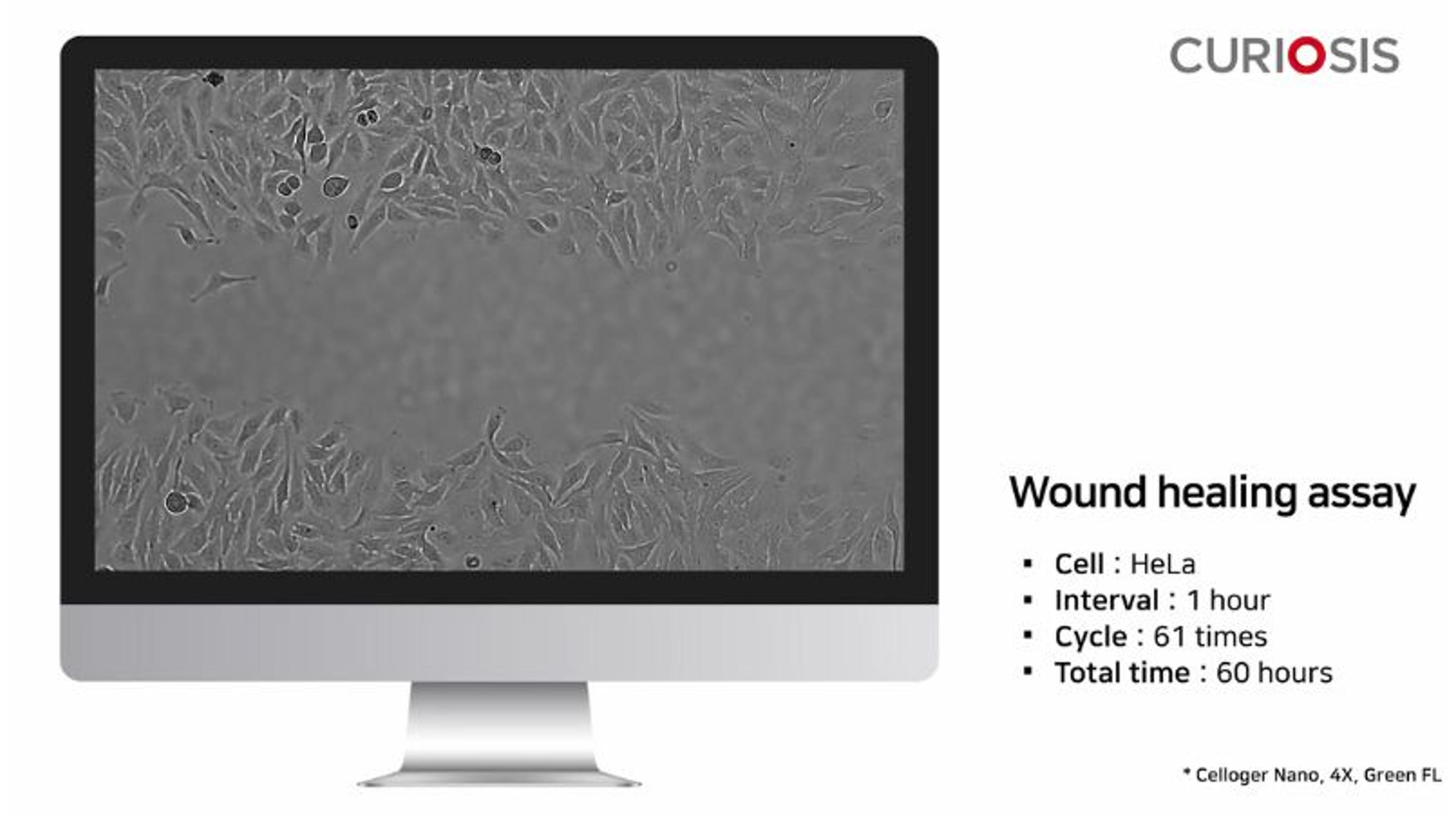 Celloger Nano application: Wound healing assay Celloger Nano application: Wound healing assay