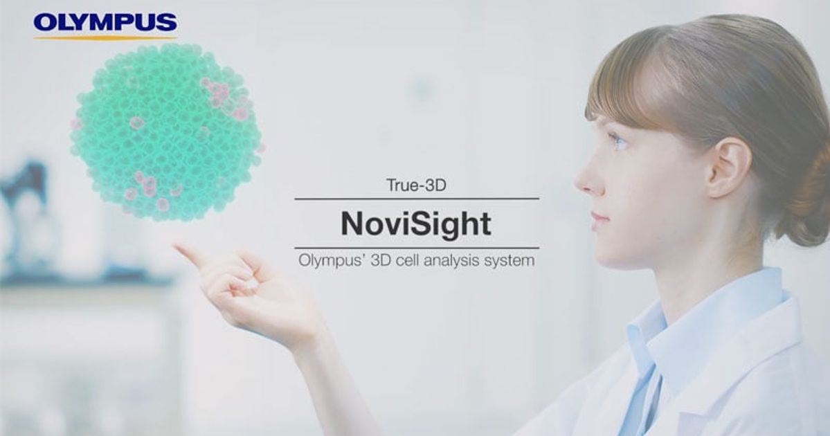 Using 3D cell culture analysis to support drug discovery