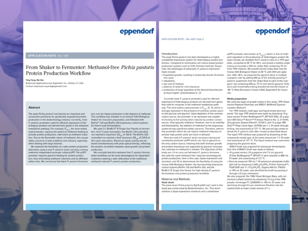 A methanol-free Pichia pastoris protein production workflow
