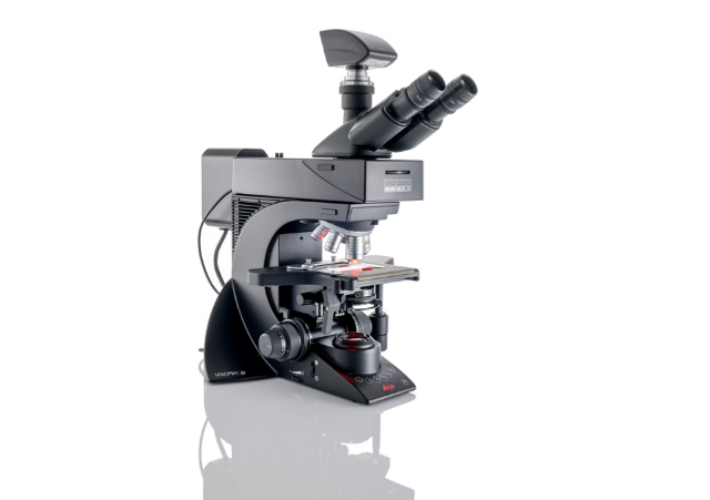Buy Visoria B Laboratory Microscope for Immunofluorescence Read Reviews