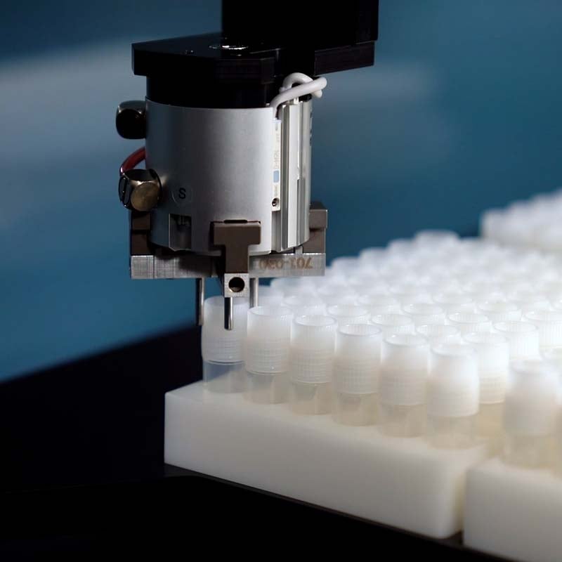 静物画 Adidas ZX 8000 Sneaker » Buy online now!