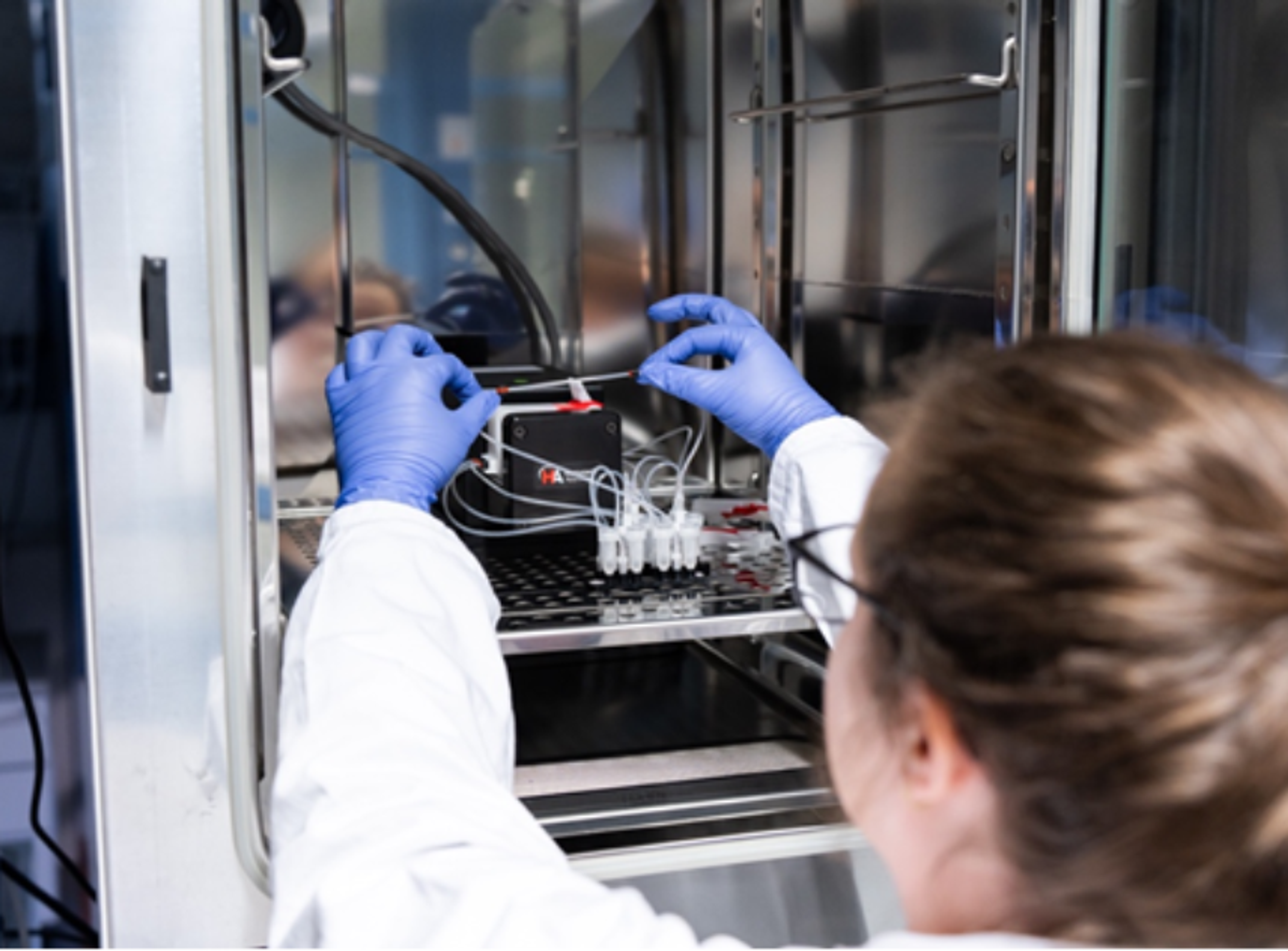 Dynamic42 Tumor Microenvironment Kit