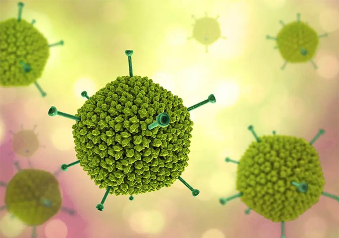 Custom Viral Vector Development Services