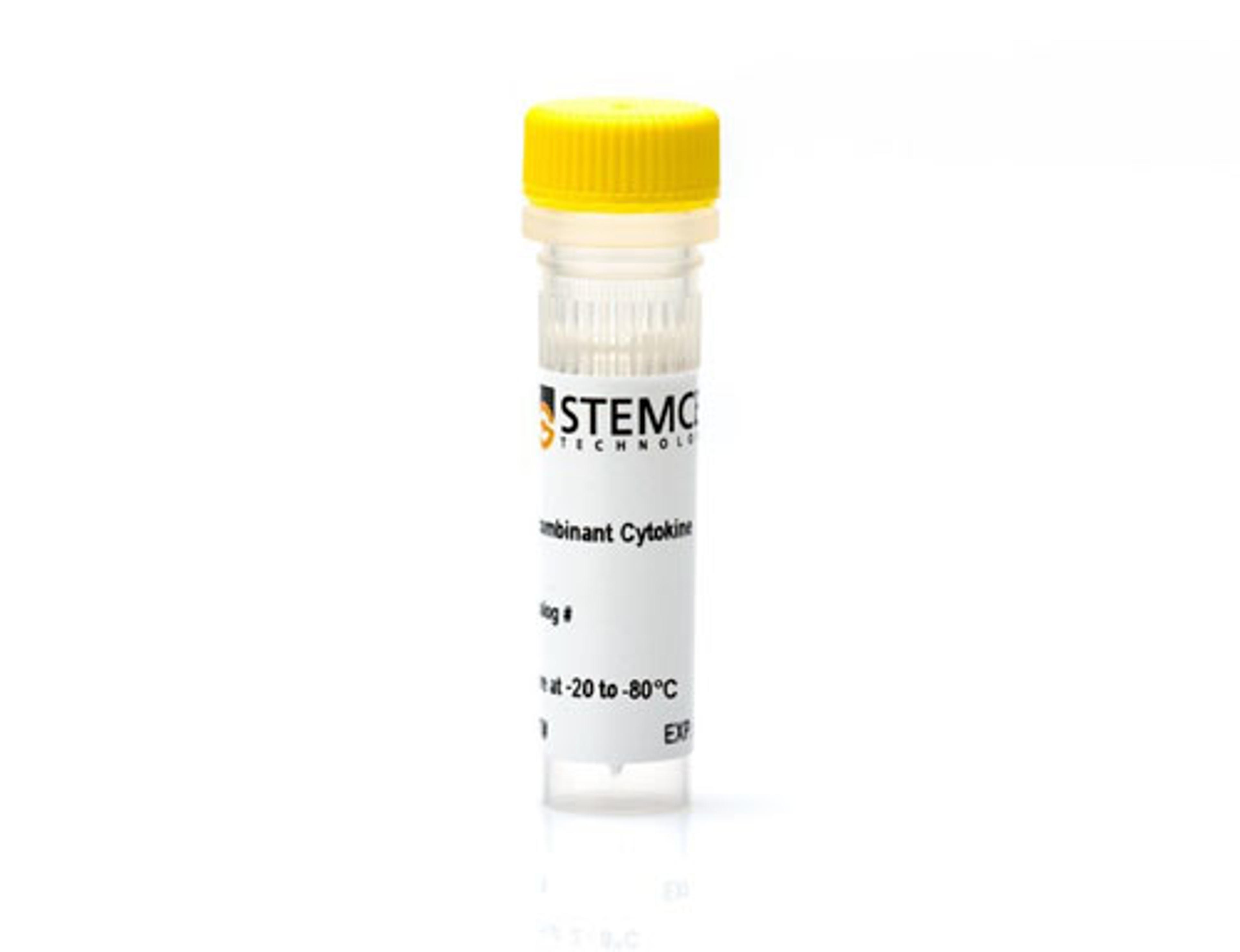 Human Recombinant Myostatin