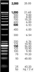 ExcelBand 1 KB Plus (0.1-10 kb) DNA Ladder 500 µl - Lab