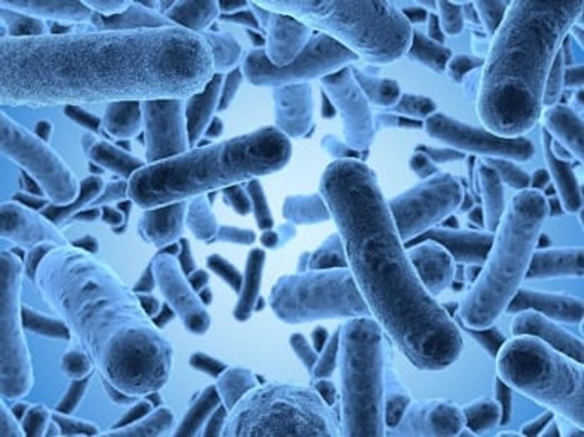 Image of bacteria - A source of contamination in a cleanroom