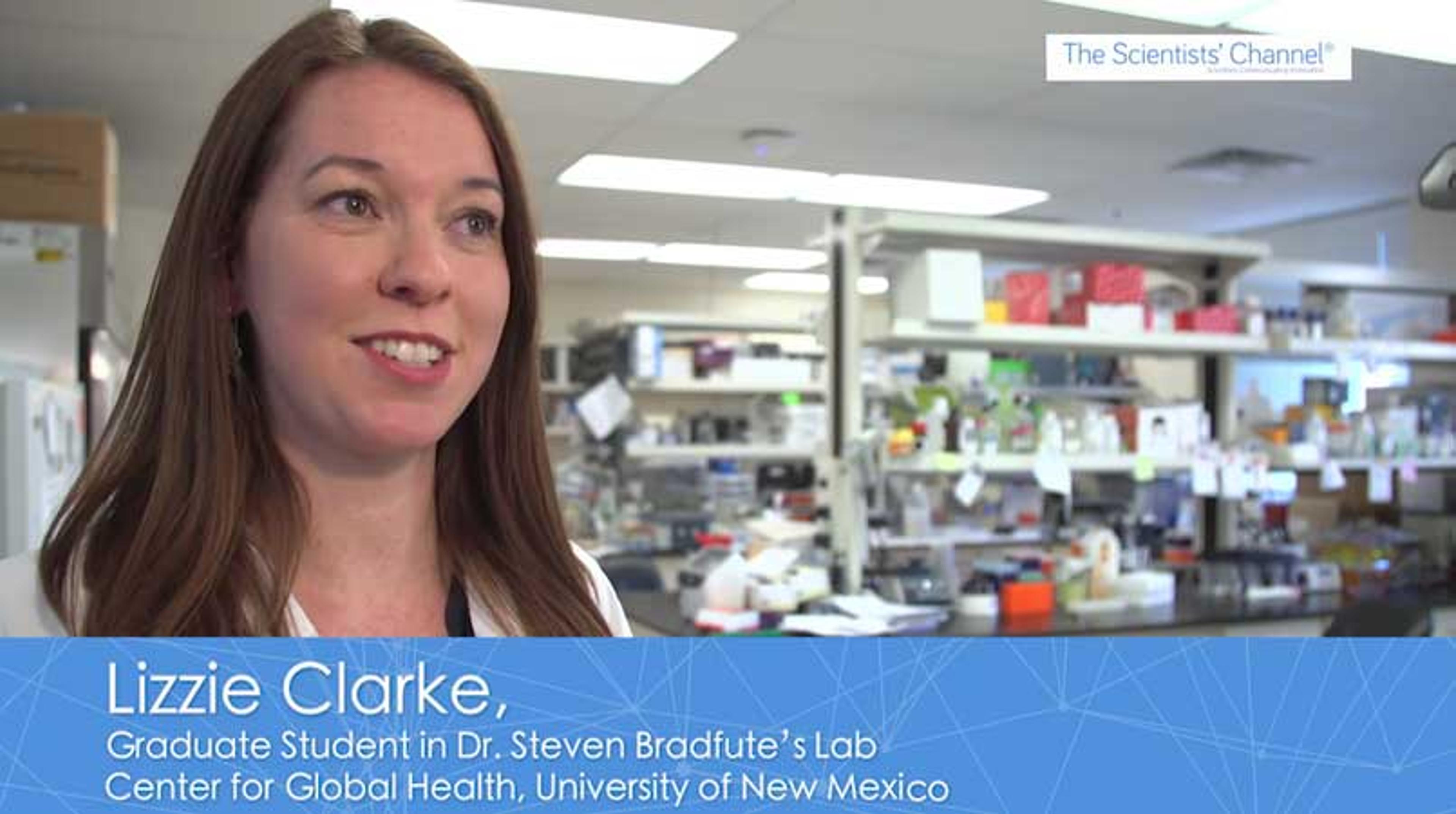 Our Quest for a Better Vaccine to Combat Filovirus Outbreaks Our Quest for a Better Vaccine to Combat Filovirus Outbreaks