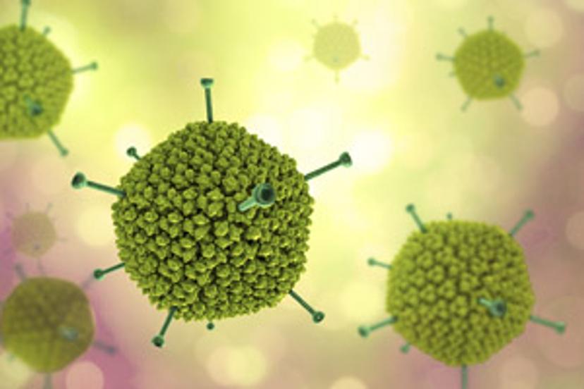 Meet LentiView: The next-gen solution for lentivirus characterization