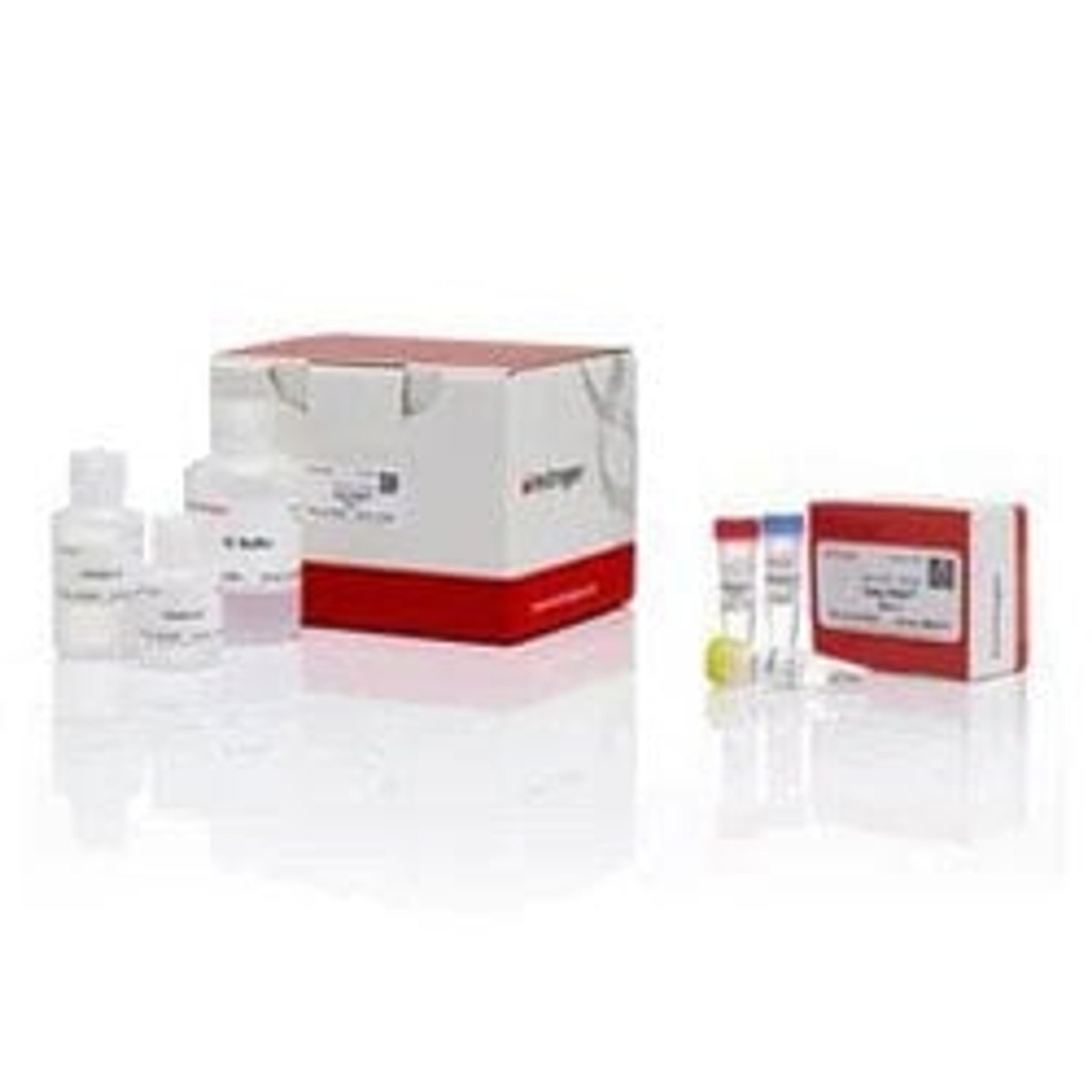 Easy-DNA™ gDNA Purification Kit