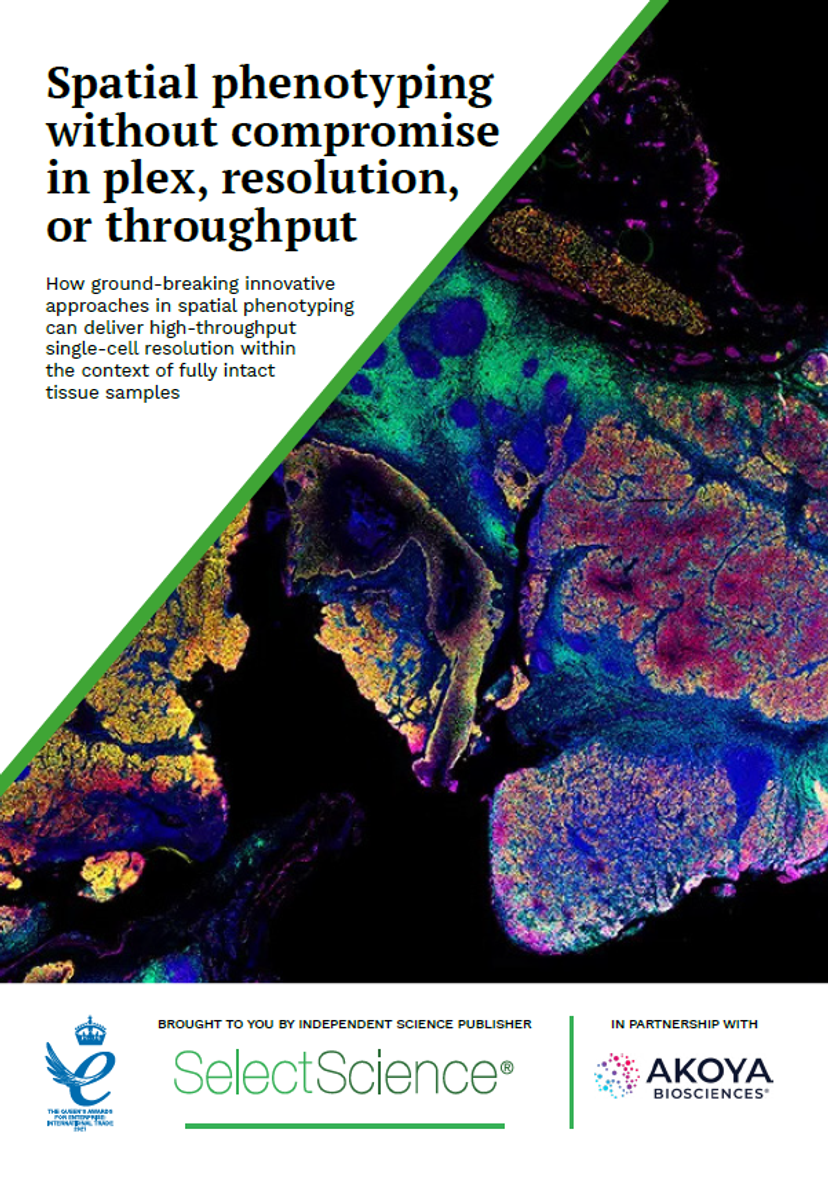 Spatial phenotyping without compromise 