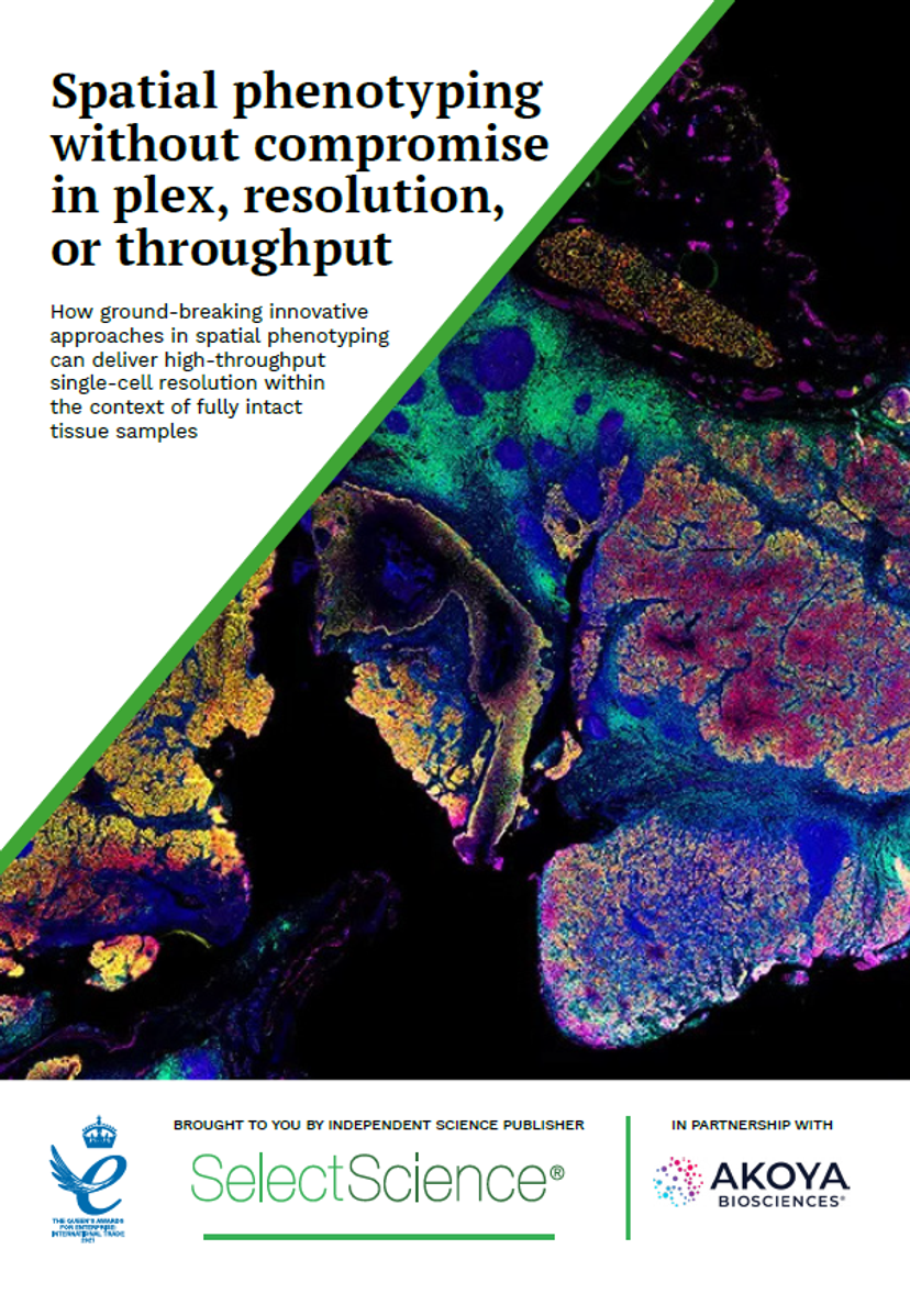 Spatial phenotyping without compromise