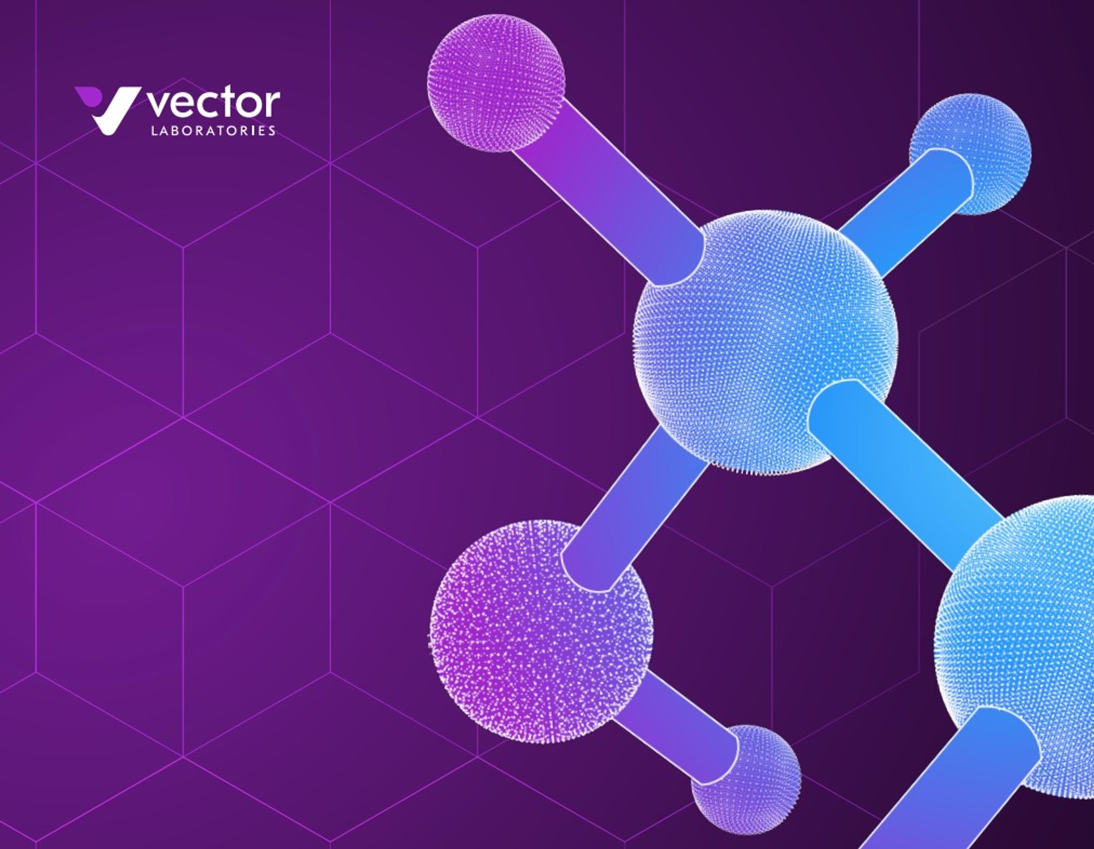 SelectScience and Vector Laboratories bioconjugation guide