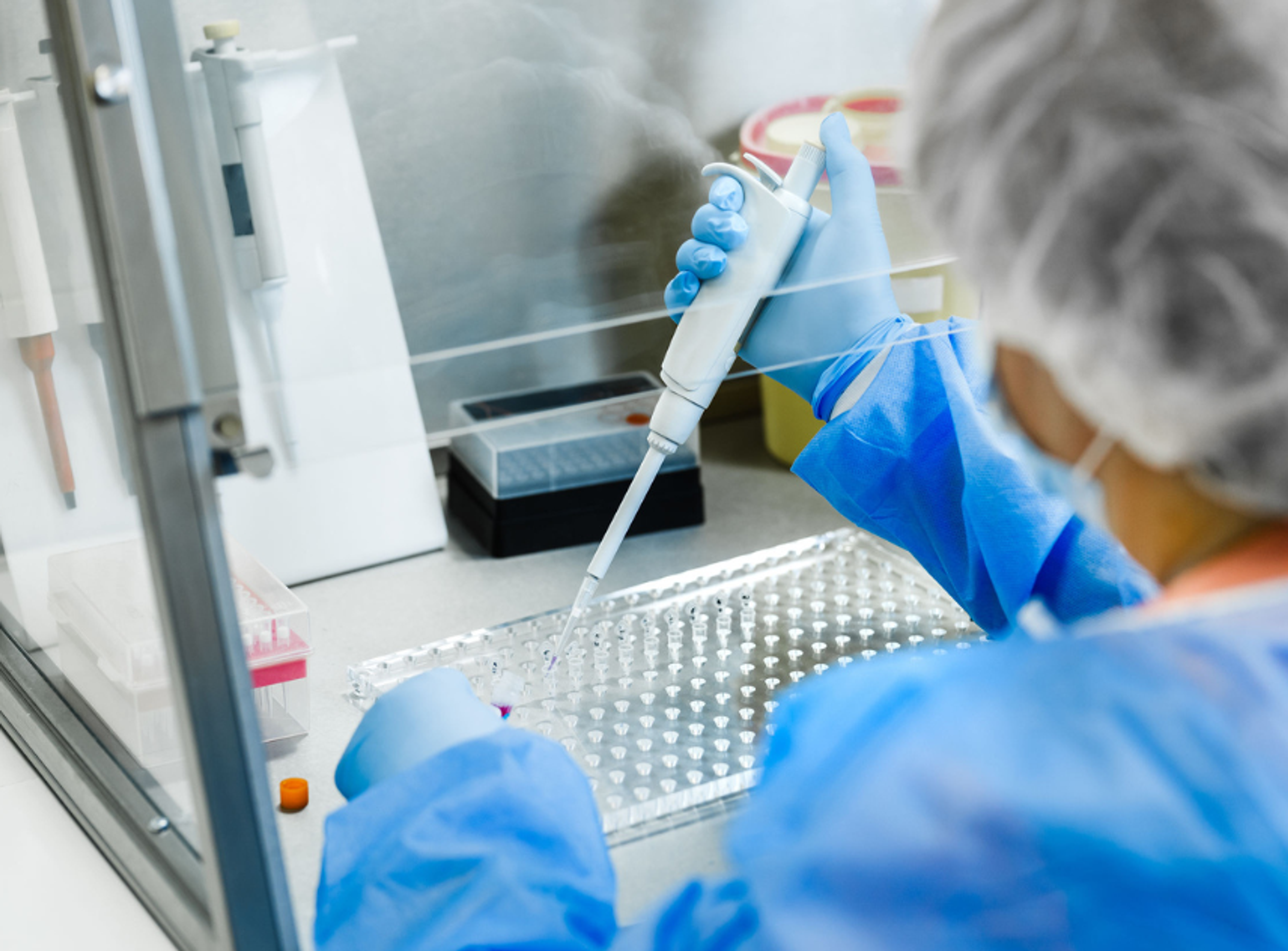Scientist pipetting under biosafety cabinet
