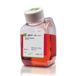 Gibco™ TrypLE™ Dissociation Reagent