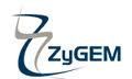 ZyGEM Corporation Limited