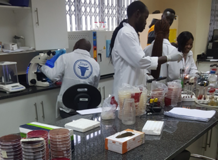 Microbiologists working on media preparation and sample analysis