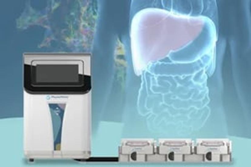 Organ-on-a-chip provides preclinical safety toxicologists with the tools to combat drug attrition