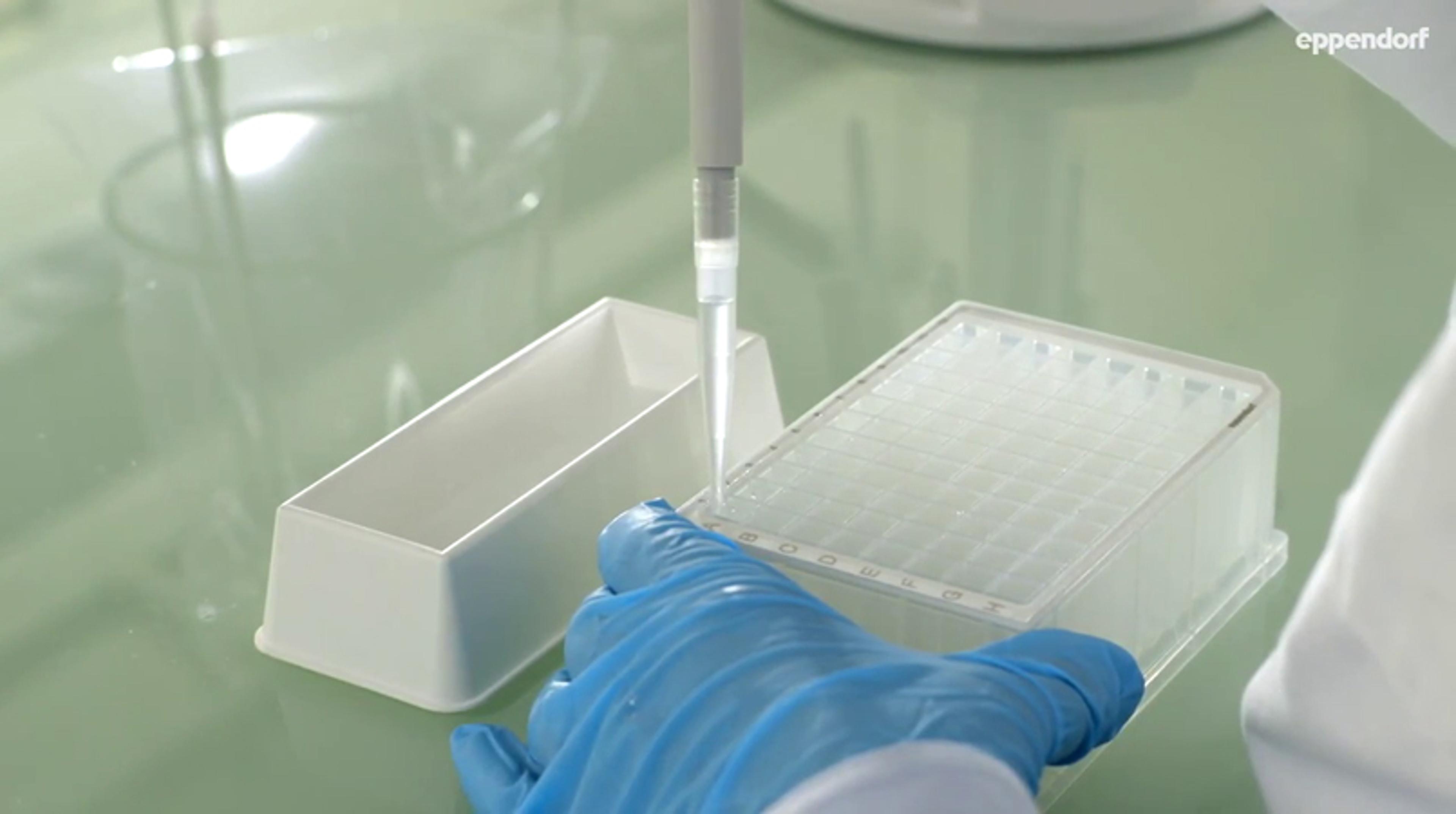 Pipetting Viscous Liquids - Eppendorf Multipette® M4 and Combitips advanced® Pipetting Viscous Liquids - Eppendorf Multipette® M4 and Combitips advanced®