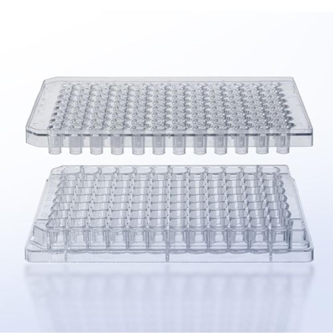 Membrane plate and receiver plate of ThinCert® HTS Insert