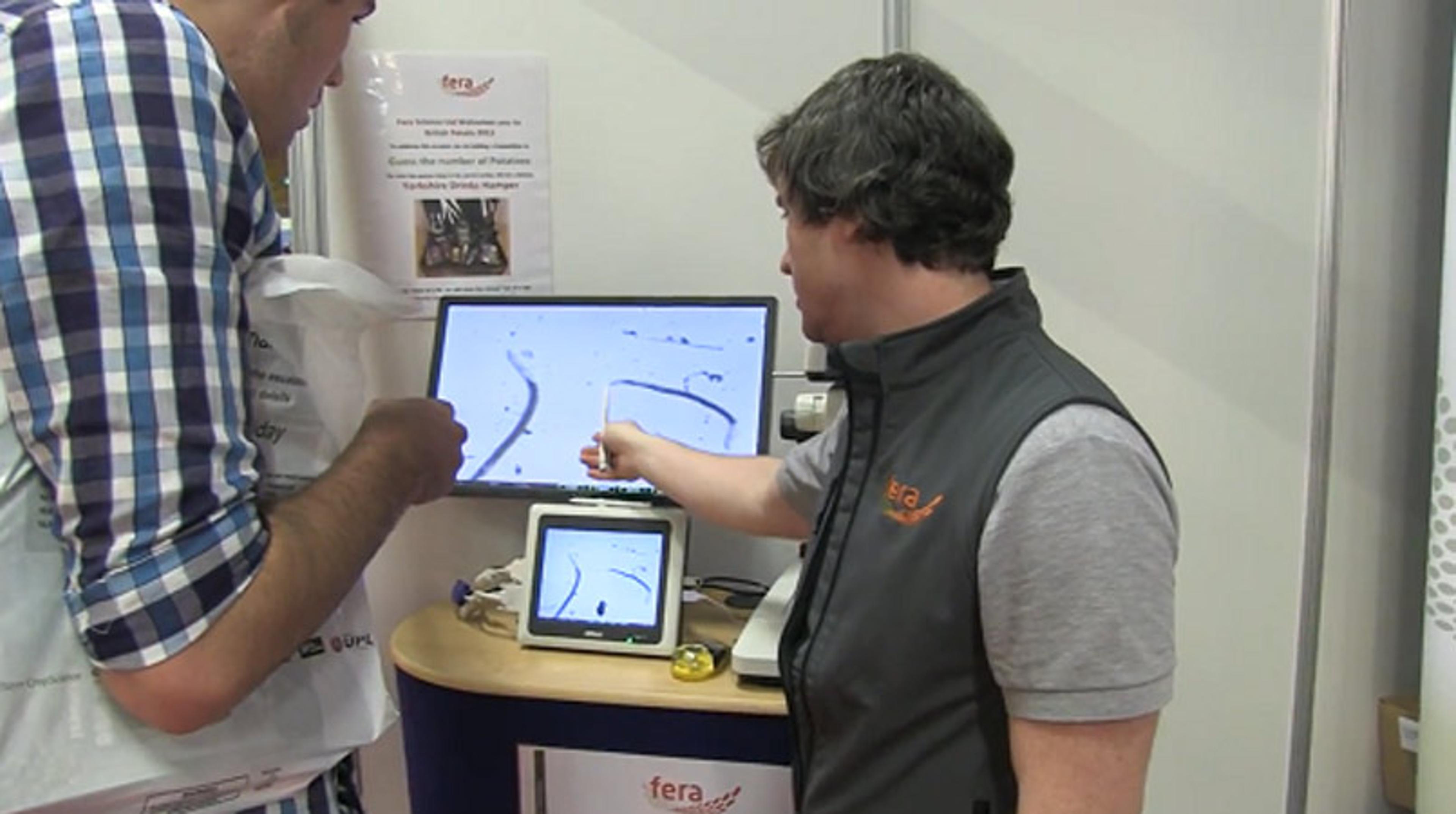 Insights into Optimizing Potato Yields Insights into Optimizing Potato Yields