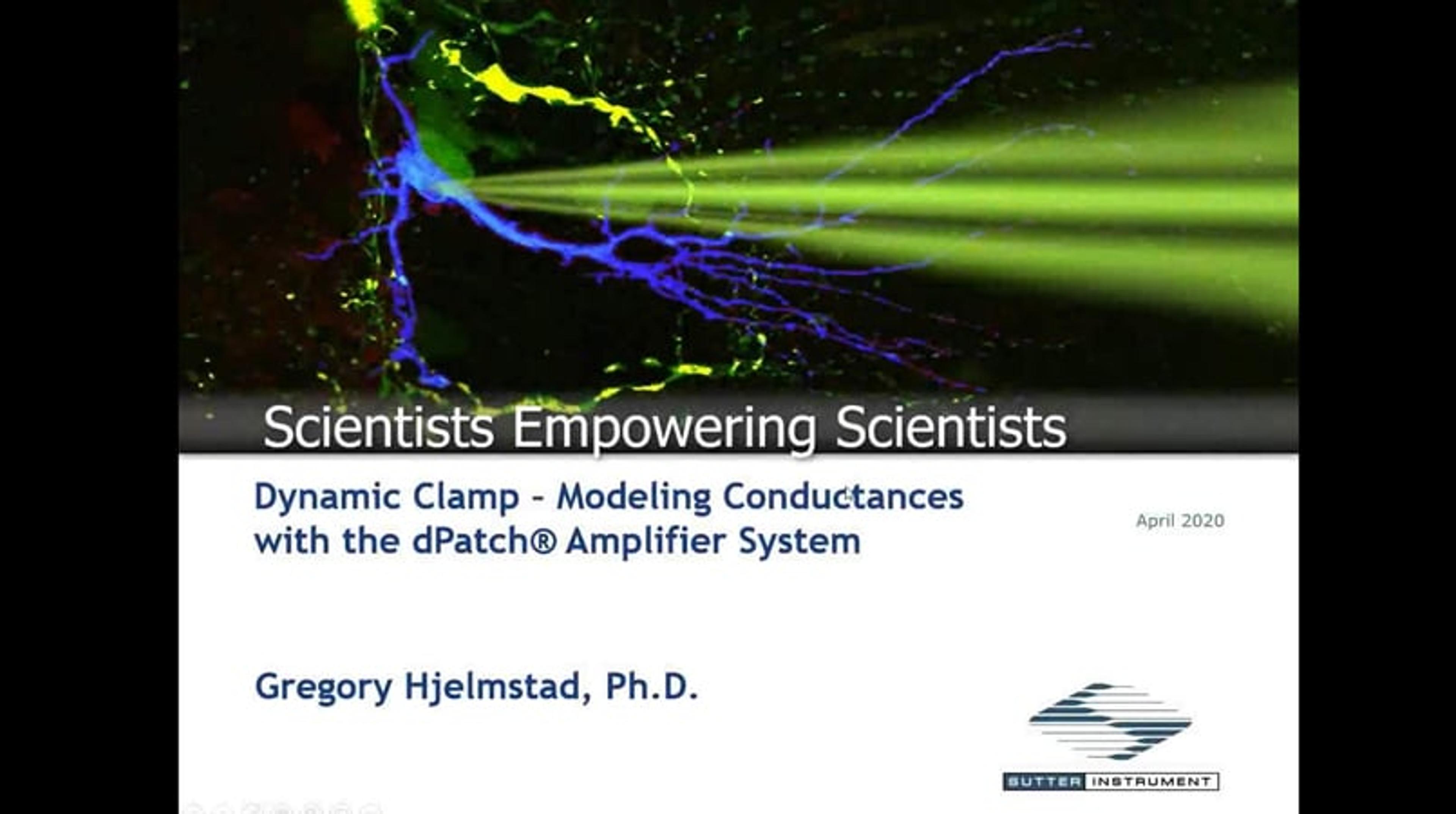 Dynamic clamp: Modeling conductances with the dPatch Amplifier System Dynamic clamp: Modeling conductances with the dPatch Amplifier System