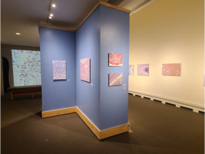 Histological images captured using high-resolution imaging displayed as part of the Death Under Glass exhibition at the Stedman Gallery at Rutgers-Camden.