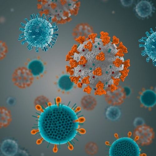 FTD SARS-CoV-2/FluA/FluB/HRSV Assay*