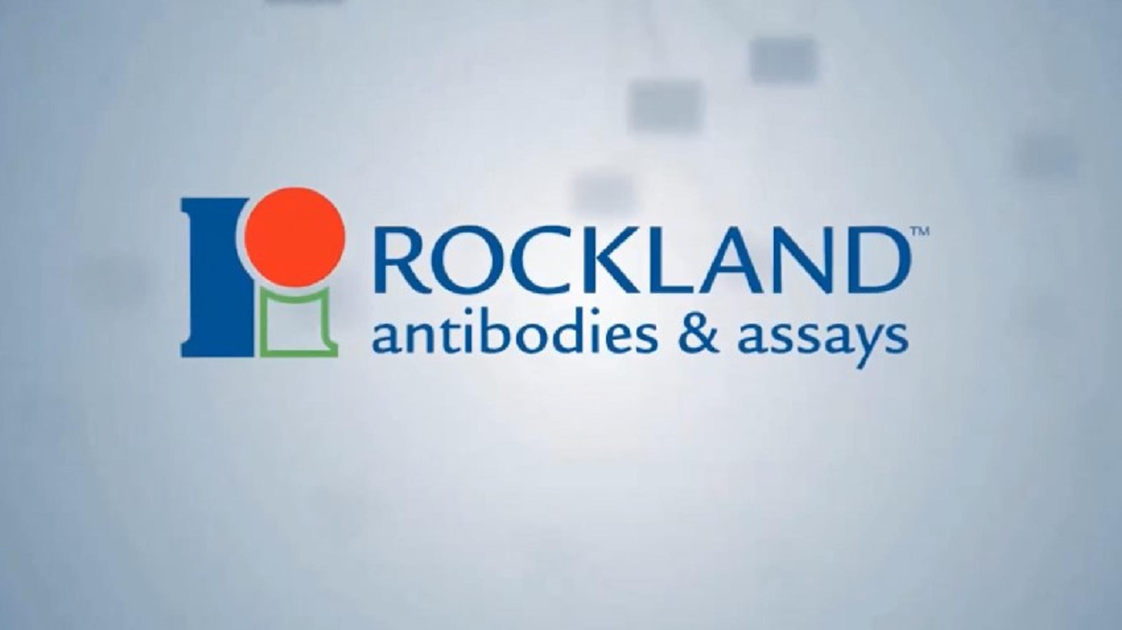 Rockland Introduces Melanoma Cell Lines in Collaboration with The Wistar Institute Rockland Introduces Melanoma Cell Lines in Collaboration with The Wistar Institute
