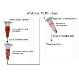 MolYsis™ technology