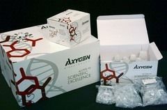 AxyPrep™ DNA Gel Extraction Kit reviews