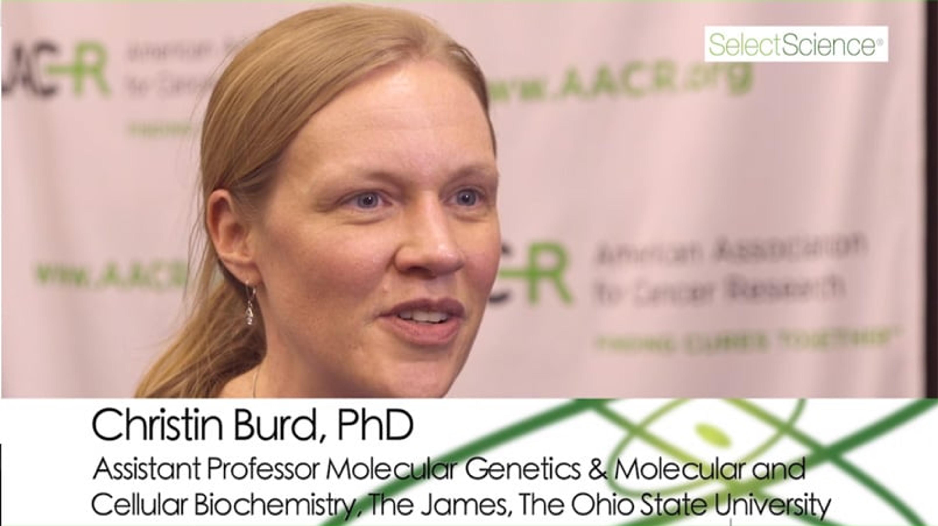 Novel Melanoma Model for Reliable Cancer Prevention Testing Novel Melanoma Model for Reliable Cancer Prevention Testing