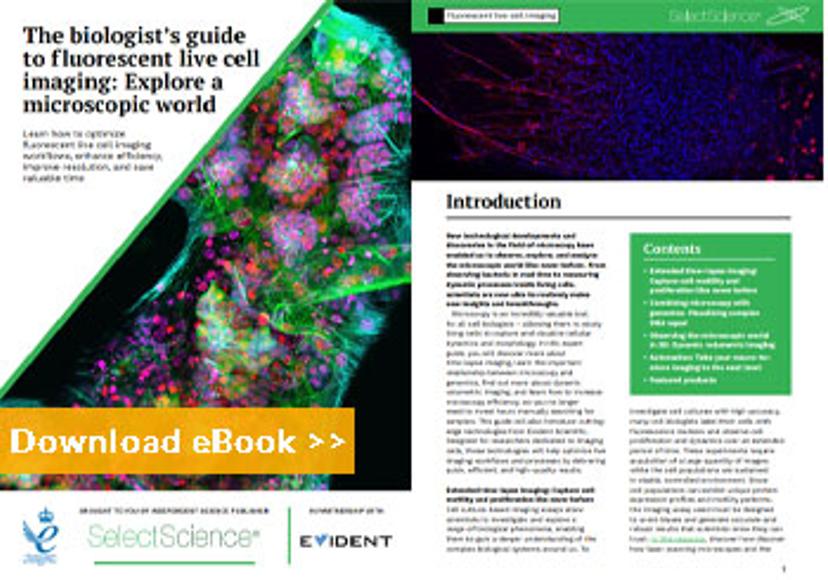 The biologist’s guide to fluorescent live cell imaging: Explore a microscopic world