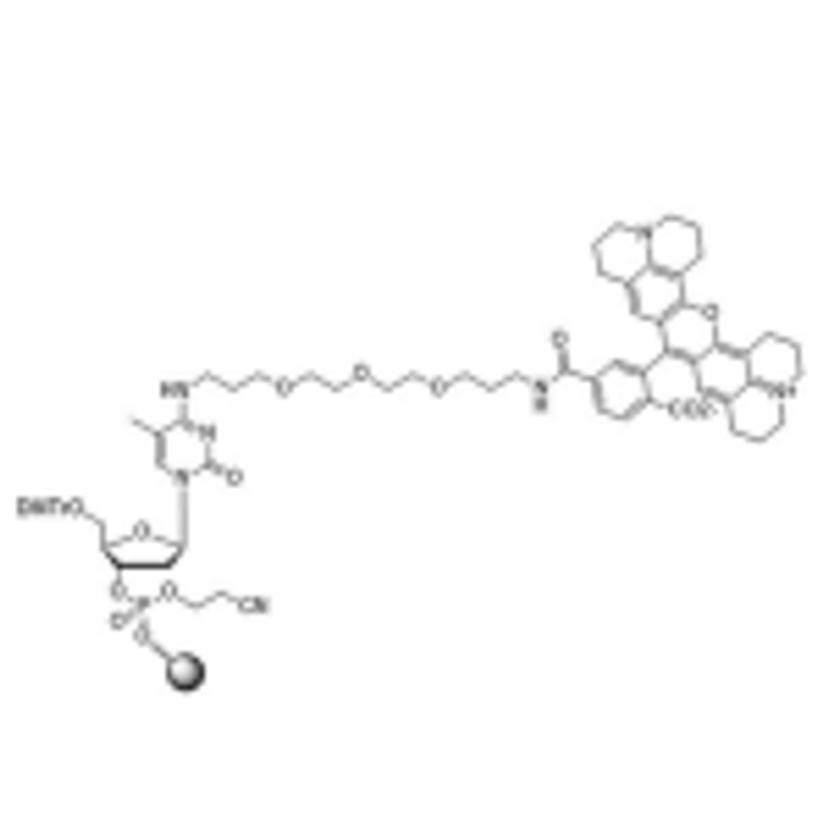 BHQnova probes