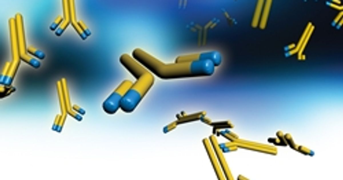 How to set up an Effective High Throughput Antibody Discovery Lab