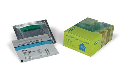 Buy Mini-PROTEAN TGX Stain-Free™ Precast Gels Read Reviews