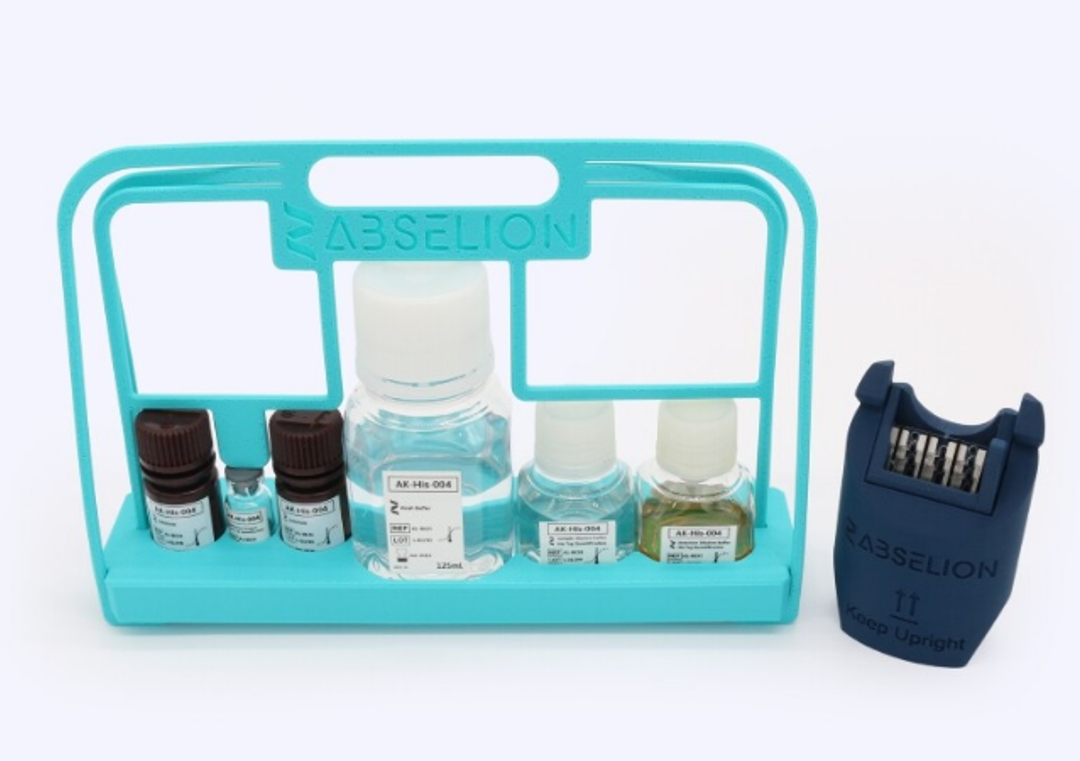 Tagged Protein Quantification Kit His-Tag Abselion