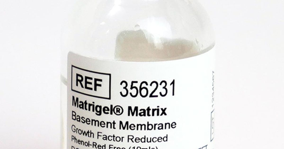 Corning® Matrigel® Growth Factor Reduced (GFR) Basement Membrane Matrix
