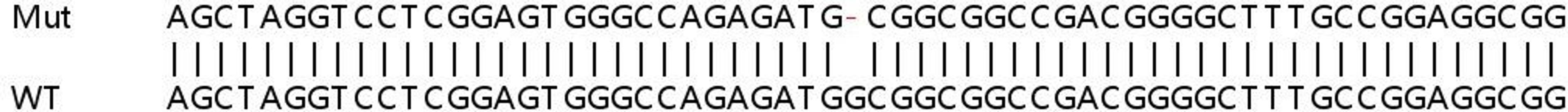 Sanger Seq - XPA knockout HeLa