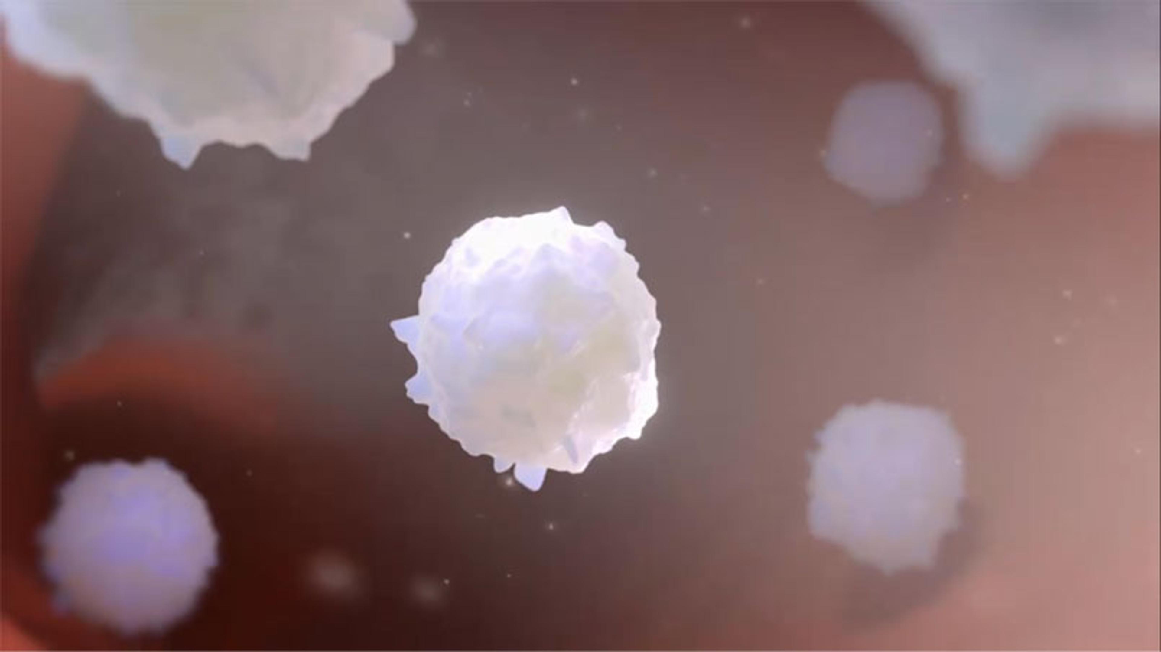 What is immunotherapy? What is immunotherapy?