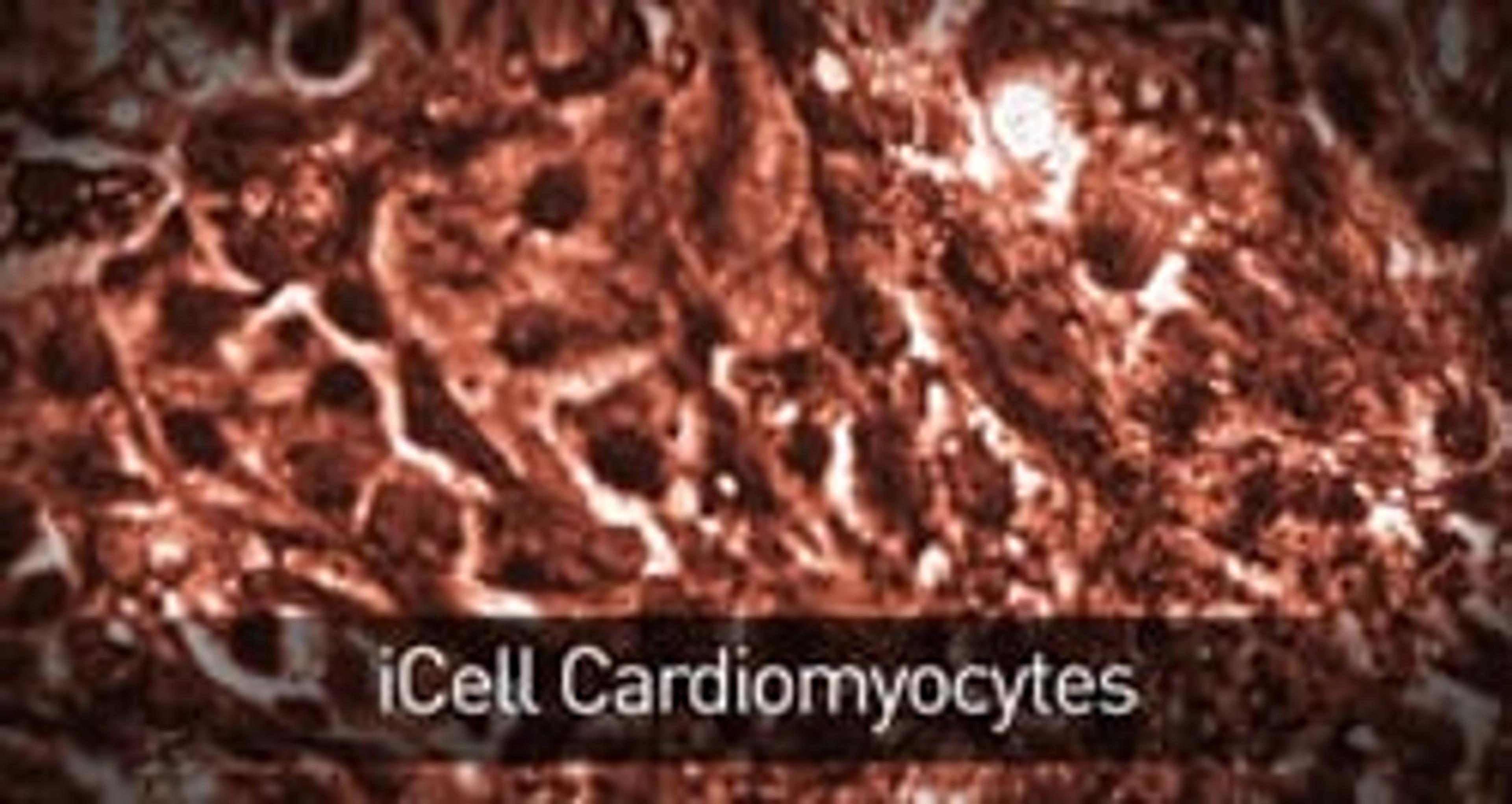 Cellular Dynamics Product Tour Cellular Dynamics Product Tour