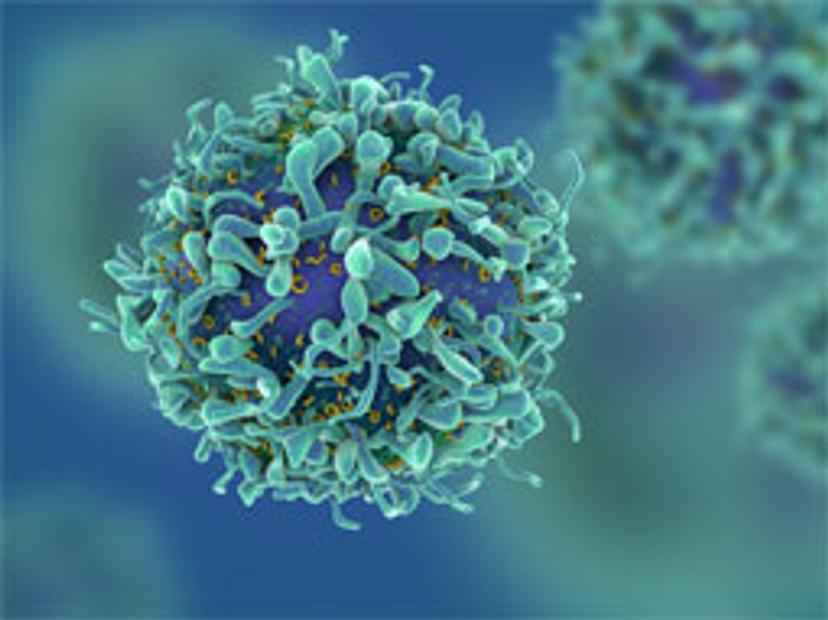 Image of cancer cell