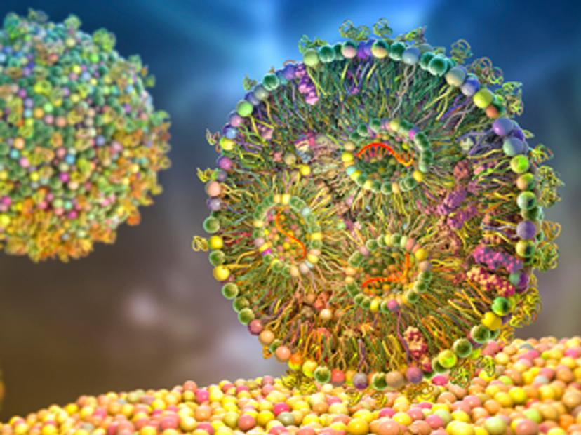 Lipid nanoparticle