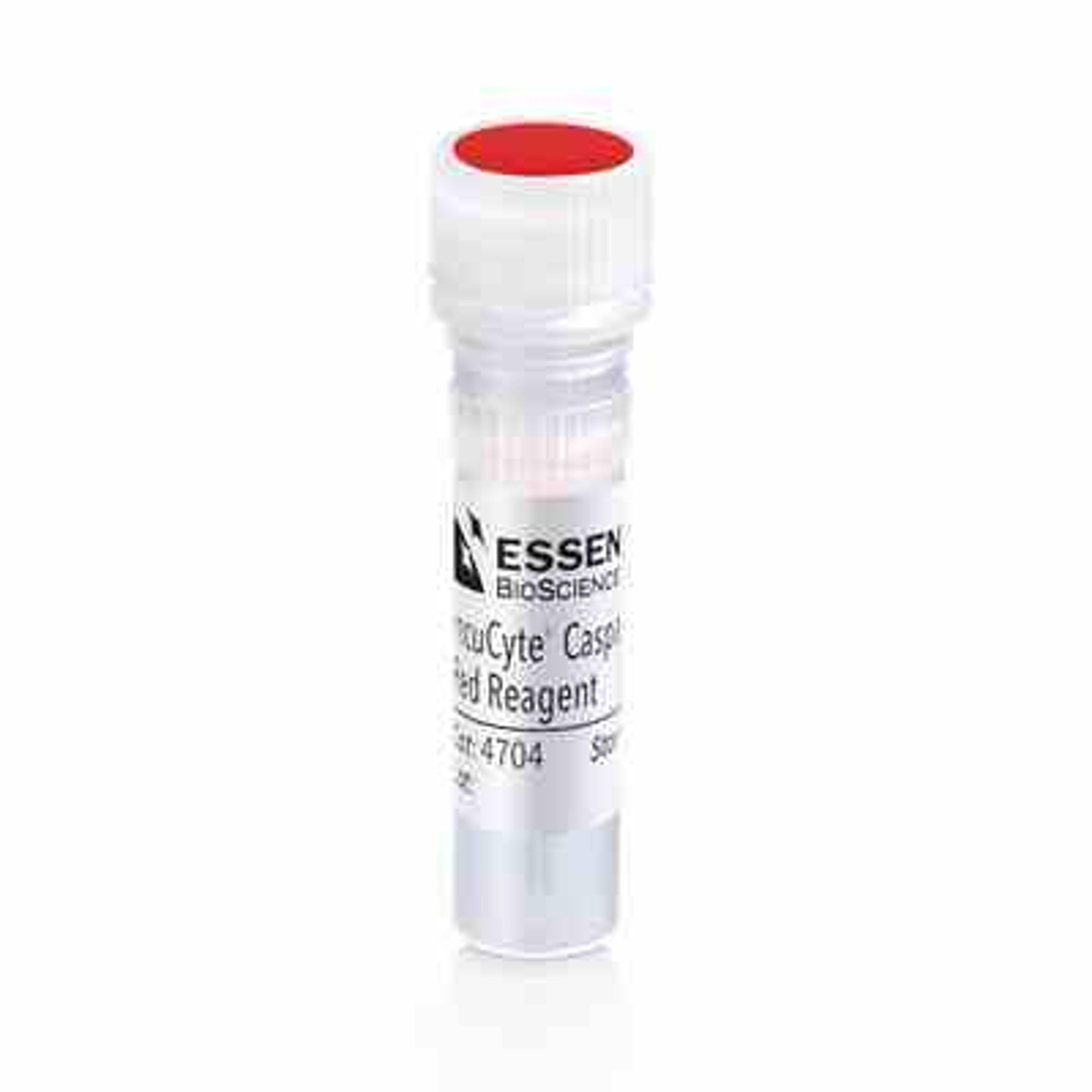 Caspase-3/7 Red Apoptosis Assay Reagent