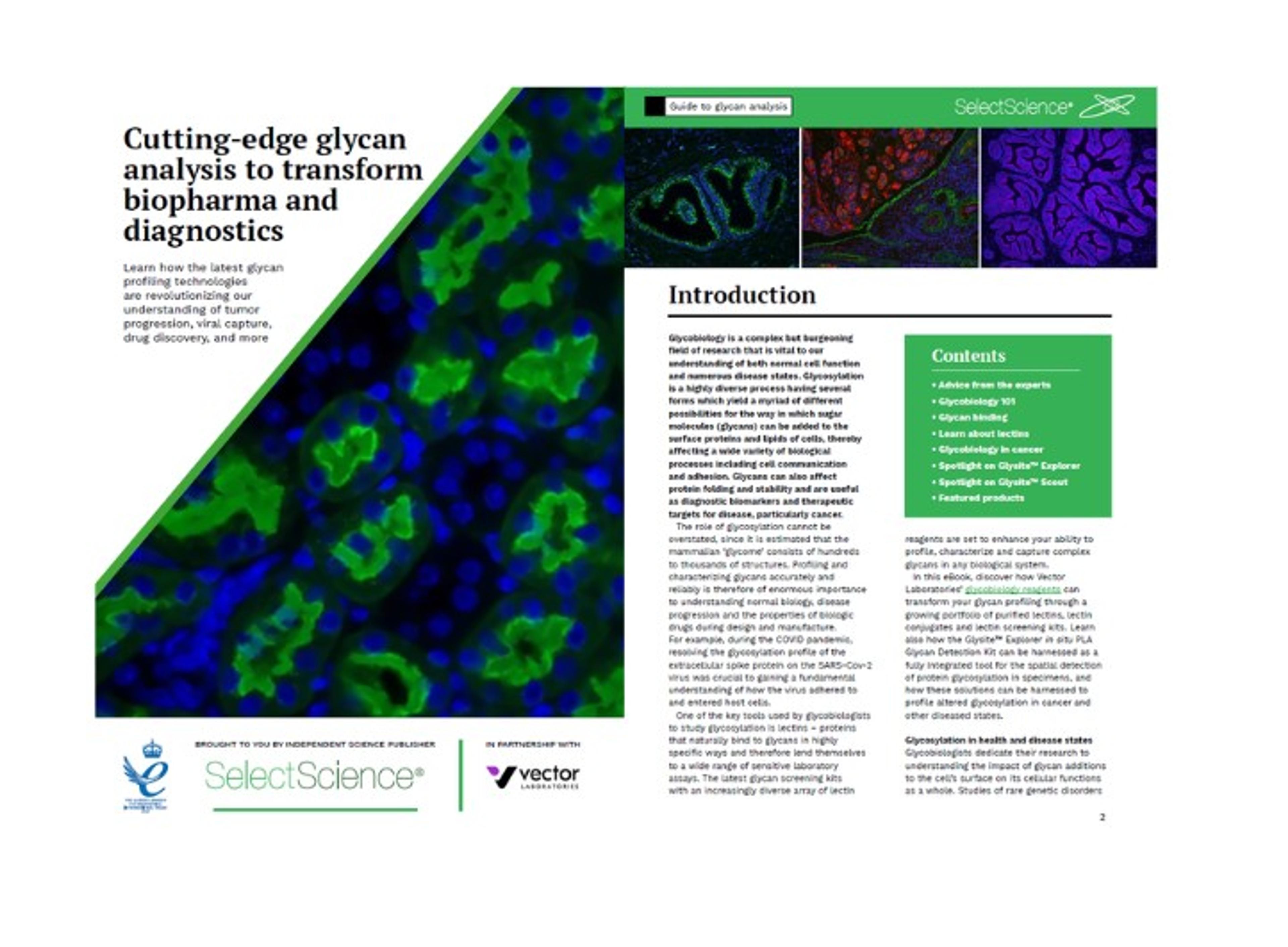 Vector Labs - Cutting-edge glycan analysis - SelectScience eBook