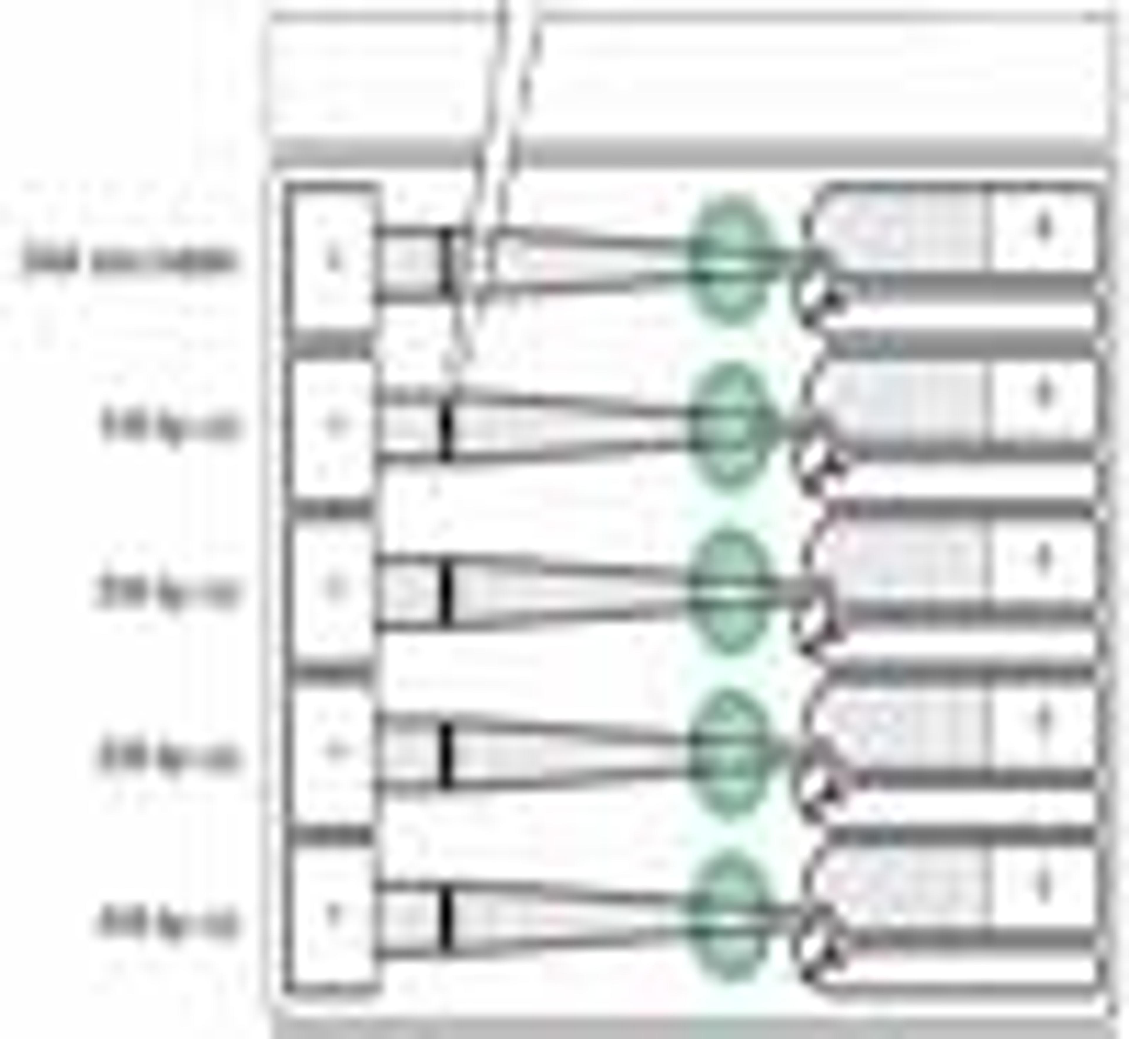 Animation showing how the Pippin Prep Runs to Automatically Select and Collect Different Sized DNA Animation showing how the Pippin Prep Runs to Automatically Select and Collect Different Sized DNA